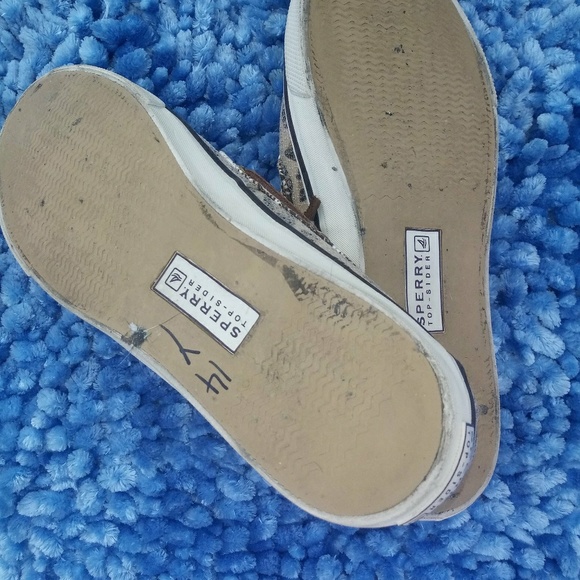 Sperry Top-Sidders! - Picture 6 of 8